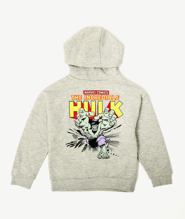 Hoodie Primark Hulk